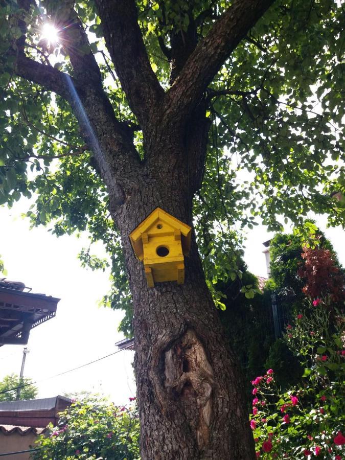 Hedgehog'S Home - Jezeva Kucica Free Parking SJJ Exterior foto