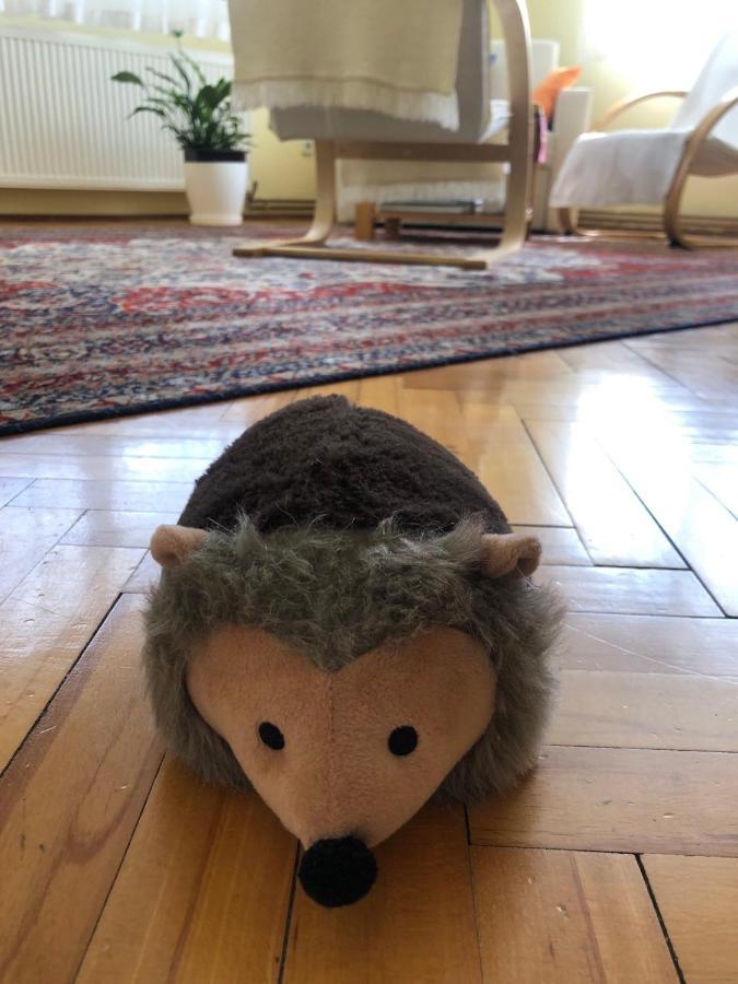 Hedgehog'S Home - Jezeva Kucica Free Parking SJJ Exterior foto